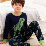 MIXIDON Pyjama Garçon Dinosaure Requin SUV Manches Longues Hiver Coton Chaud Ensemble de Pyjamas Garçon Vêtement de Nuit 2 10 Ans,Pattern 1,10 11 Ans : Amazon.fr: Mode